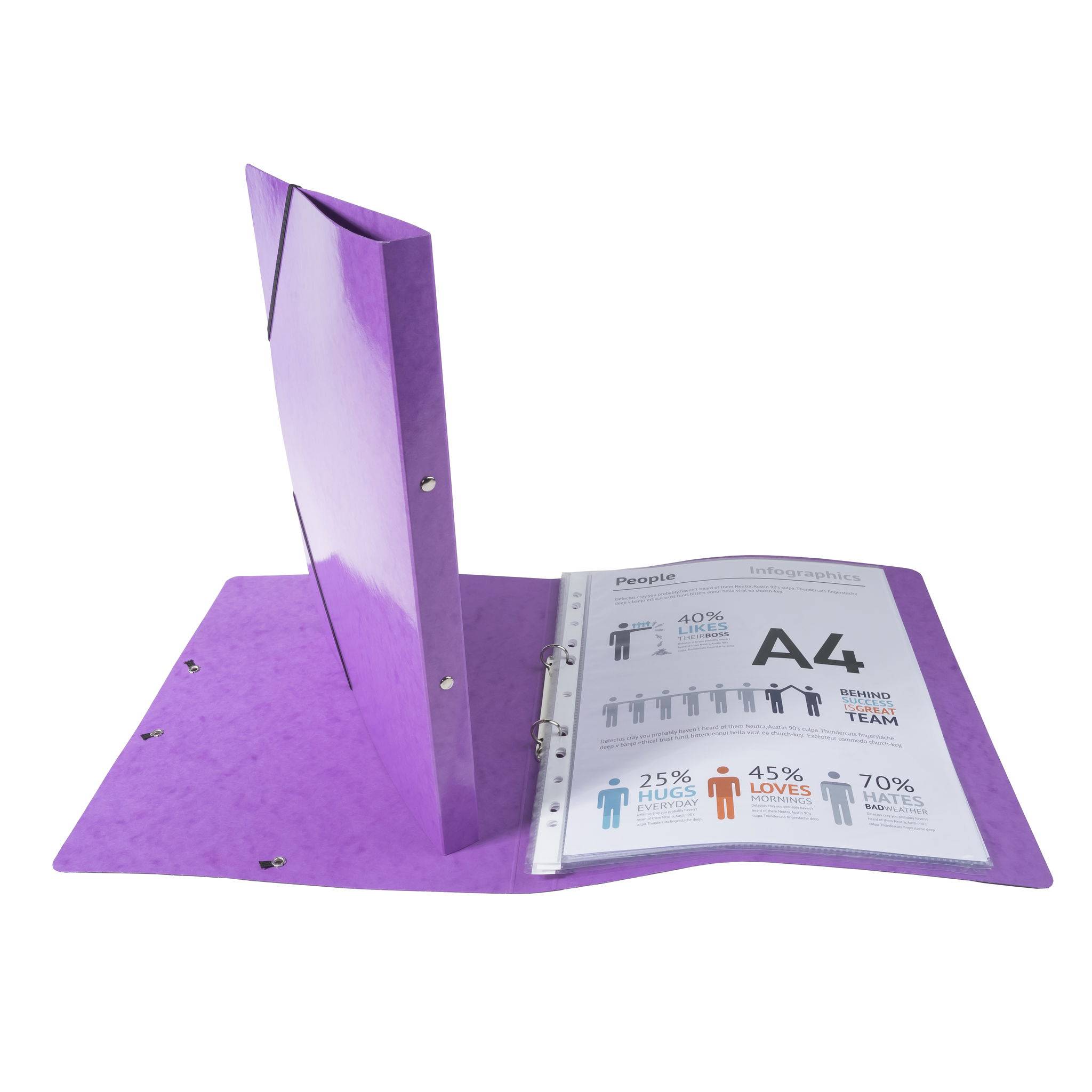 Exacompta 20x Ringhefter Gummizug Karton 2Ring Rücken 20mm A4 Violett 54896E
