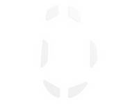 Glorious PC Gaming Race GLO-ACC-GSKATE-I - Mausfüße - 0,81 mm - Weiß