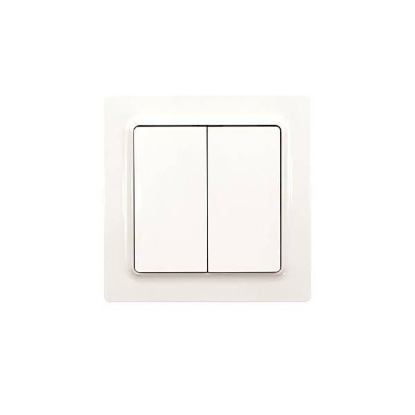 Eltako Funktaster F4T55EOR-pg