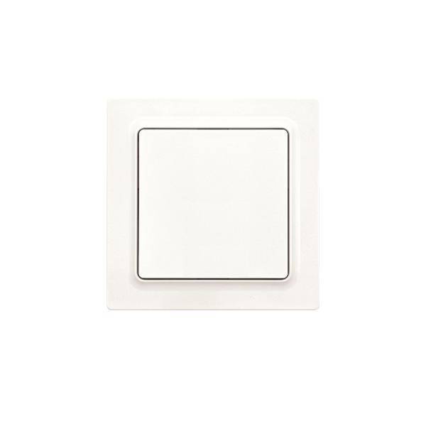 Eltako Funktaster F2T55EOR-pm