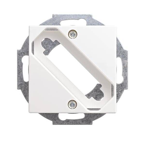 Busch-Jaeger Zentralscheibe alpinws 2549-914