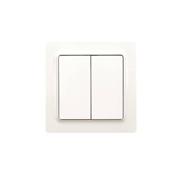 Eltako Wipptaster W2T55E-pg