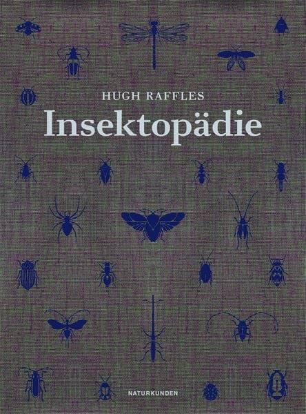 Insektopädie