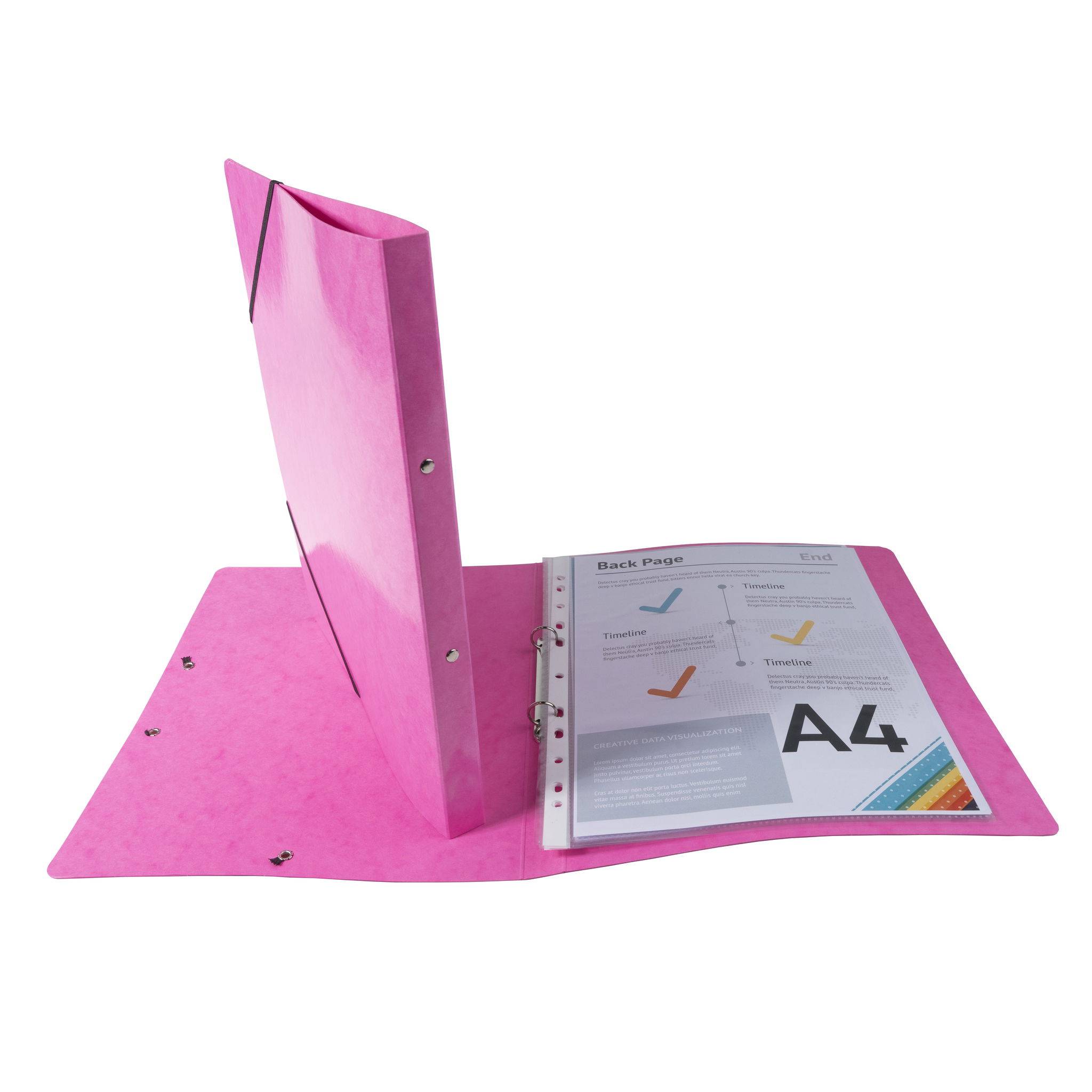 Exacompta 20x Ringhefter Gummizug Karton 2Ring 15mm Rücken 20mm A4 Rosa 54894E