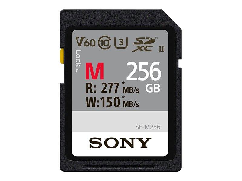 Sony SF-M Series SF-M256 - Flash-Speicherkarte