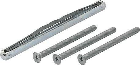 Vier silberne Schrauben und ein Dübel zur Wandmontage, zeigen die benötigten Werkzeuge für grundlegende DIY-Installationsaufgaben.