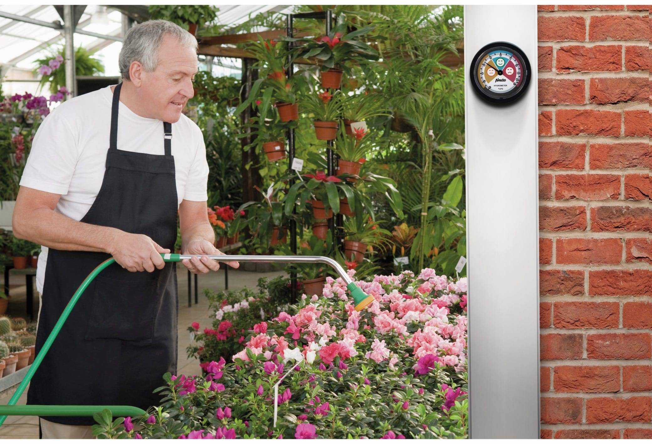 ALECTO Analoges Hygrometer WS-05, für den Innenbereich, schwarz