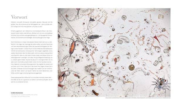 Mikrokosmos - Wunderwelt der kleinsten Lebewesen