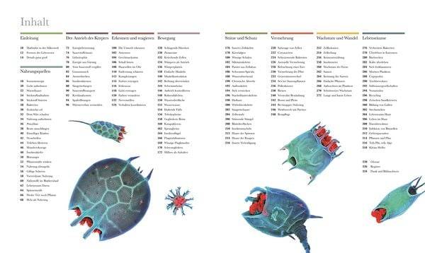 Mikrokosmos - Wunderwelt der kleinsten Lebewesen