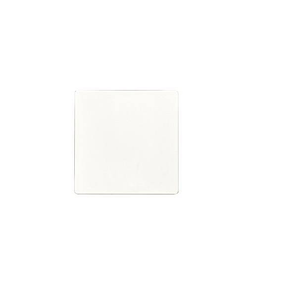 Eltako Funktaster F2T55EOR-pm