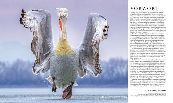 Die Natur in über 5000 Fotos