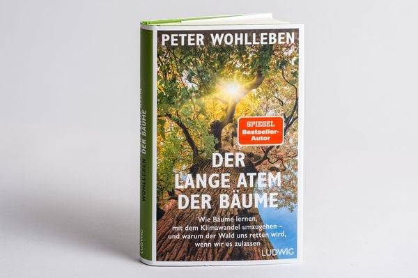 Der lange Atem der Bäume