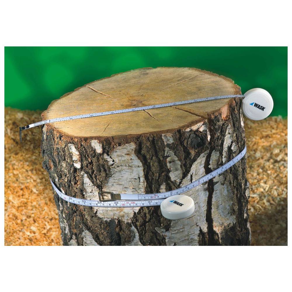 Dönges Umfang-Stahlbandmass, 2 m, 10 mm, neutral