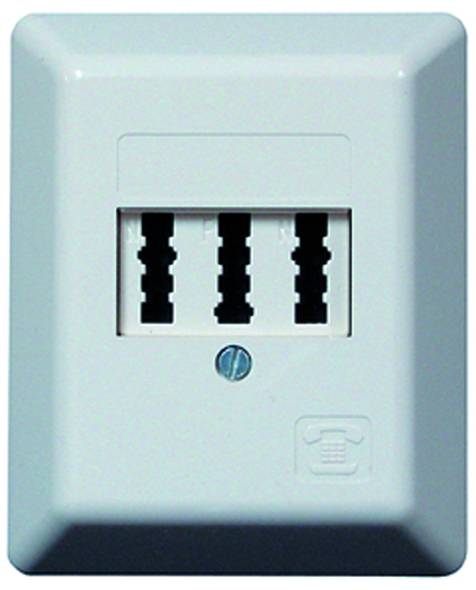 PTAE Telefondose AP 3x6NFN cw