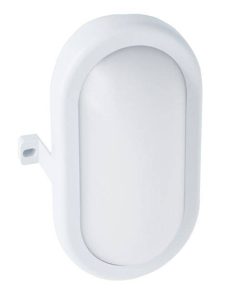 PLEDOL10W LED-Ovalleuchte weiß 10 Watt