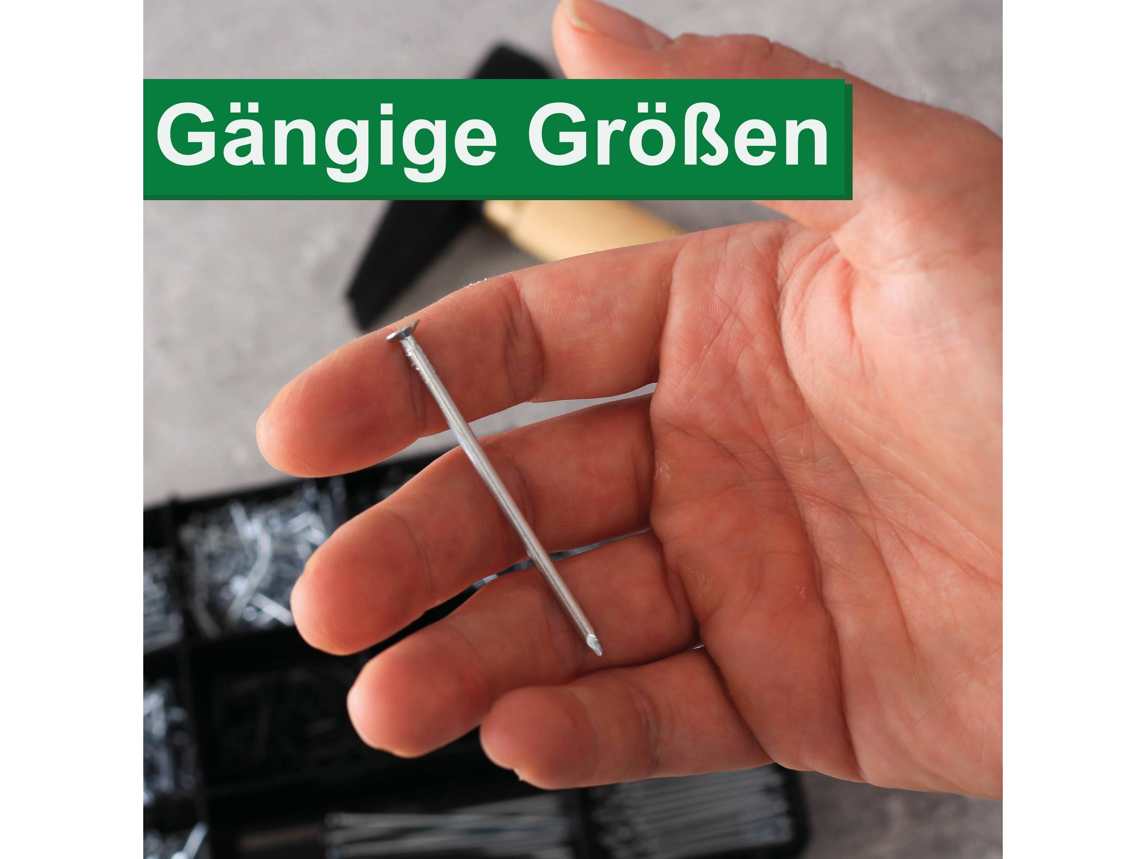 QUADRIOS Stahl-Nagel-Sortiment 2201SA003, 275 Stück