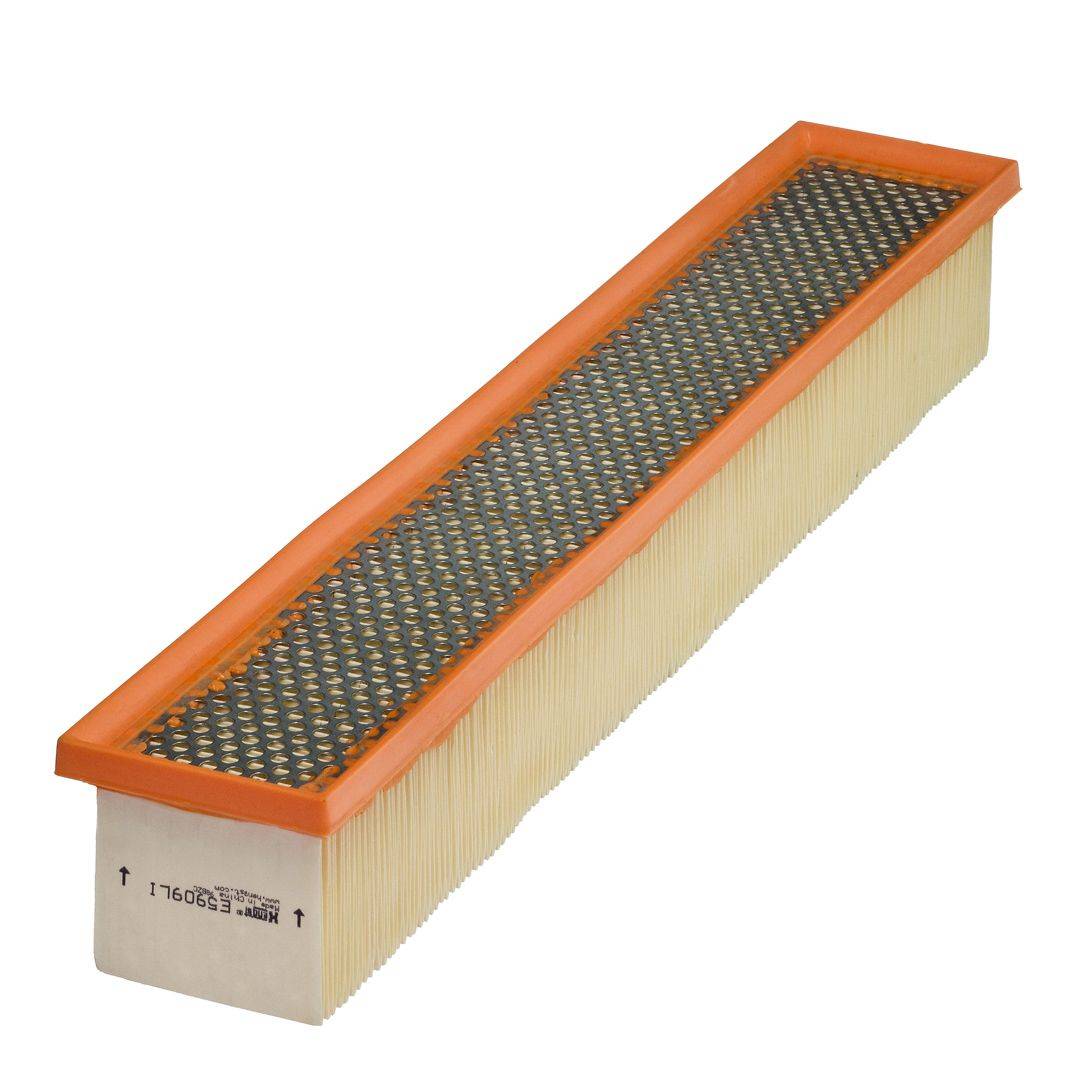 Hengst Filter E5909LI Filter, Innenraumluft