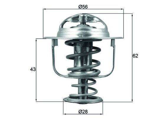 Autothermostat; Metallbauteil mit Spiralfeder, gewölbtem Deckel, entscheidend für die Regulierung der Motortemperatur. Wichtige Maße gekennzeichnet: Höhe 62 mm, oberer Durchmesser 56 mm, unterer Durchmesser 28 mm.