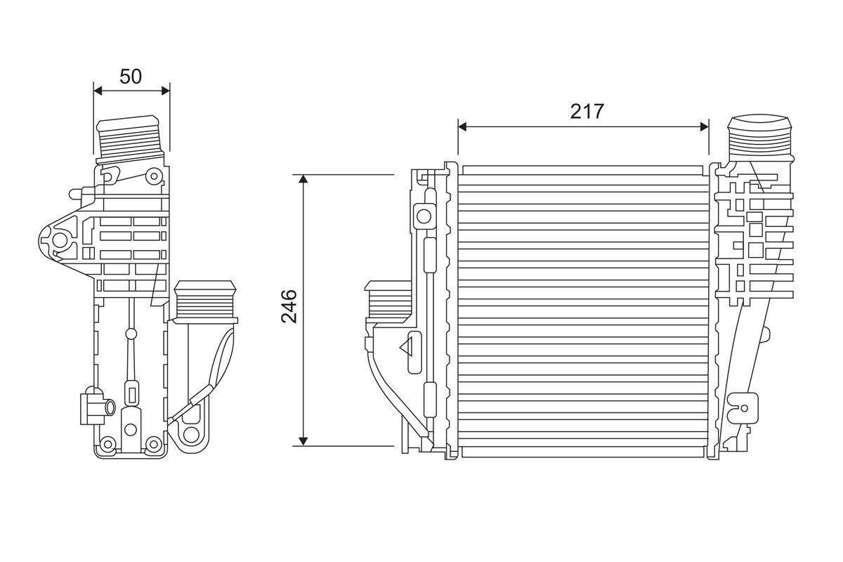 Technische Zeichnung eines LED-Straßenleuchten-Kopfes mit Maßangaben. Breite: 217mm; Höhe: 246mm.