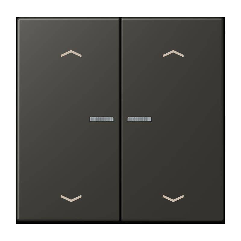 Jung Taster mit Pfeilsymbolen BT LC 17102 P 259