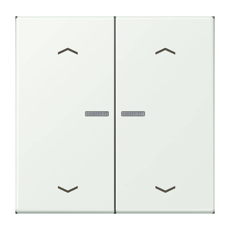 Jung Taster mit Pfeilsymbolen BT LC 17102 P 210