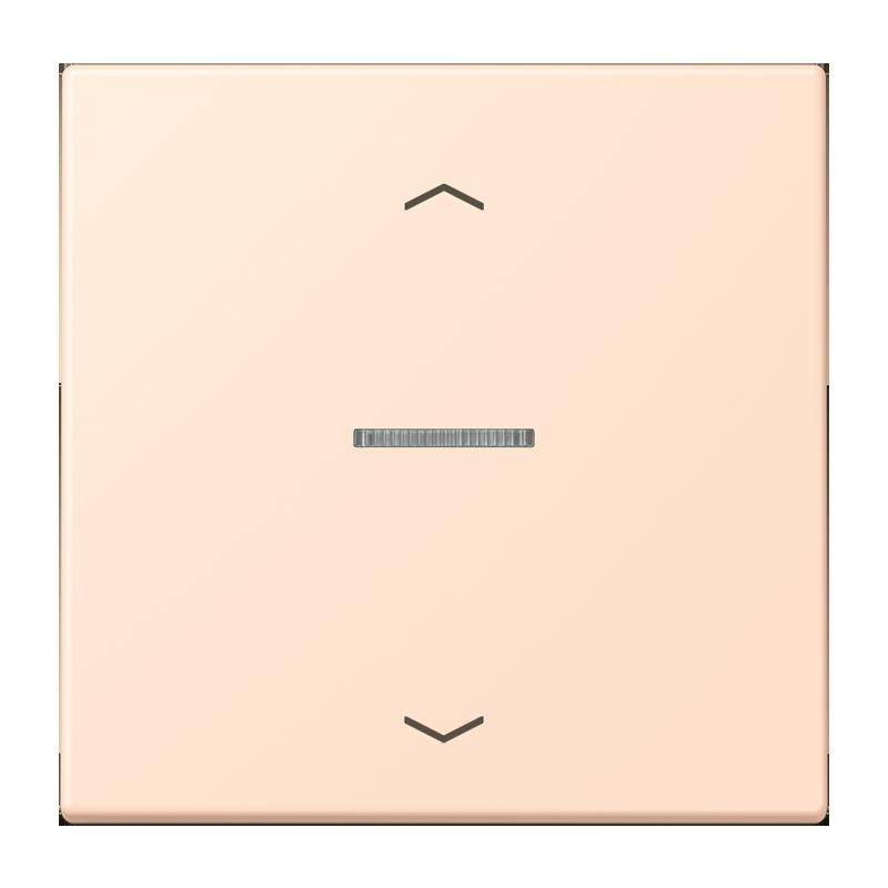 Jung Taster 1fach BT LC 17101 P 228