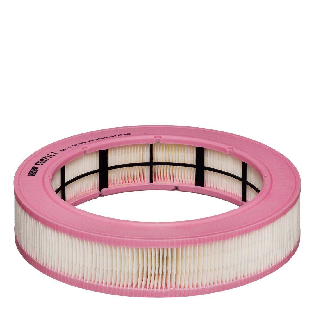 Hengst Filter E5971LI Filter, Innenraumluft