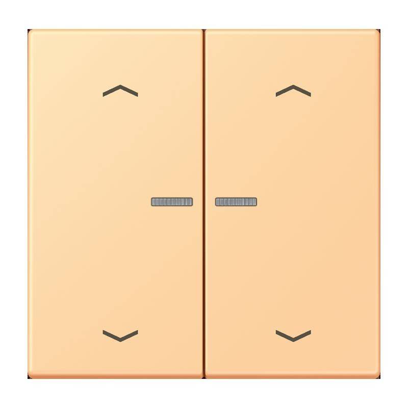 Jung Taster mit Pfeilsymbolen BT LC 17102 P 258