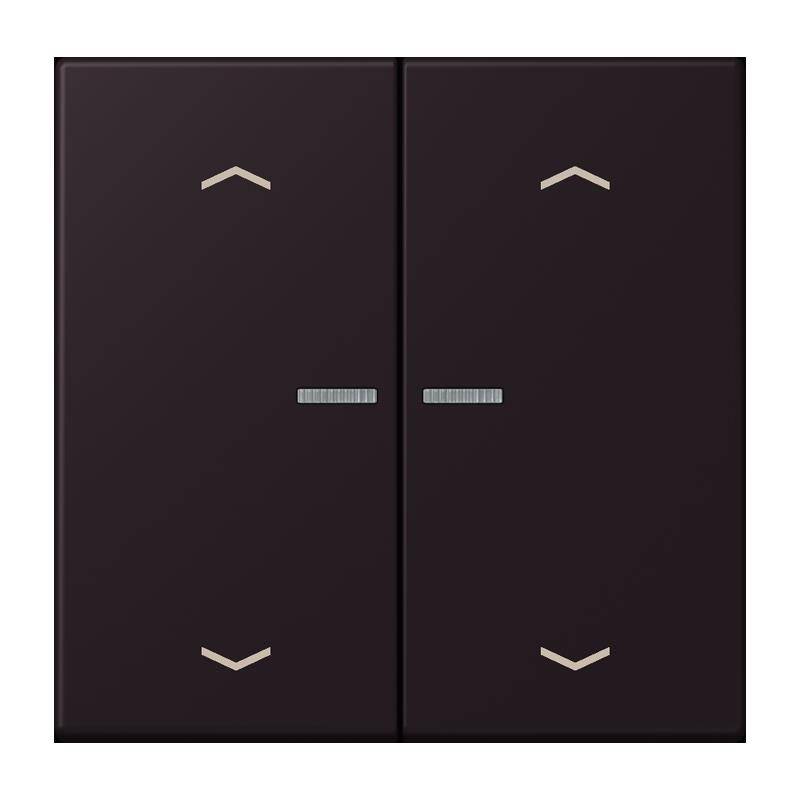 Jung Taster mit Pfeilsymbolen BT LC 17102 P 248