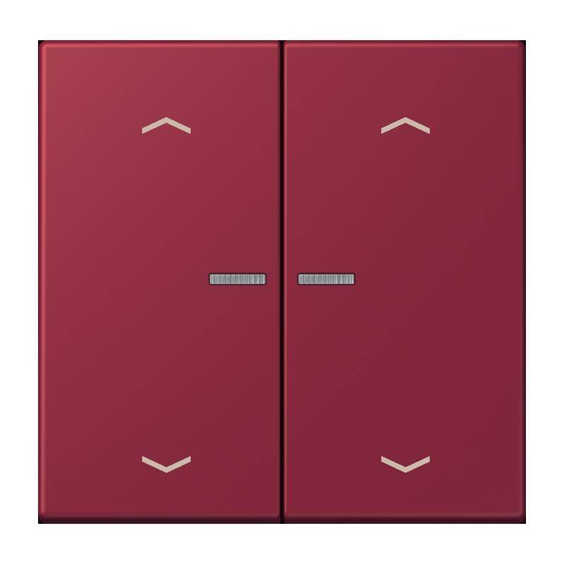 Jung Taster mit Pfeilsymbolen BT LC 17102 P 255