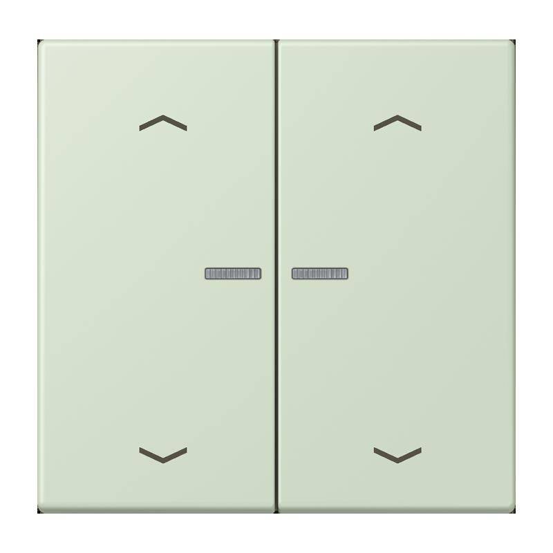 Jung Taster mit Pfeilsymbolen BT LC 17102 P 218