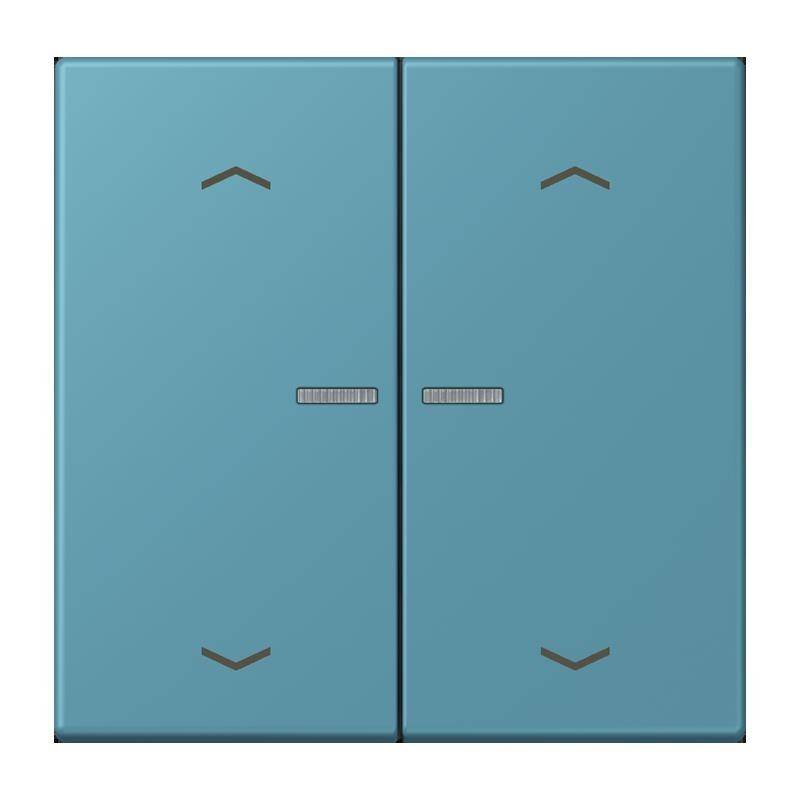 Jung Taster mit Pfeilsymbolen BT LC 17102 P 212