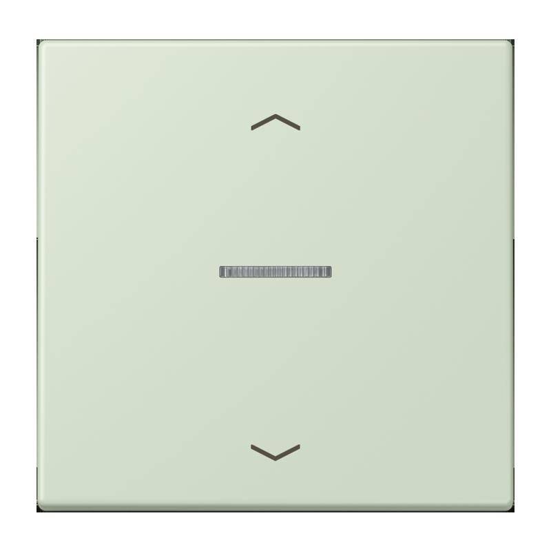 Jung Taster 1fach BT LC 17101 P 218