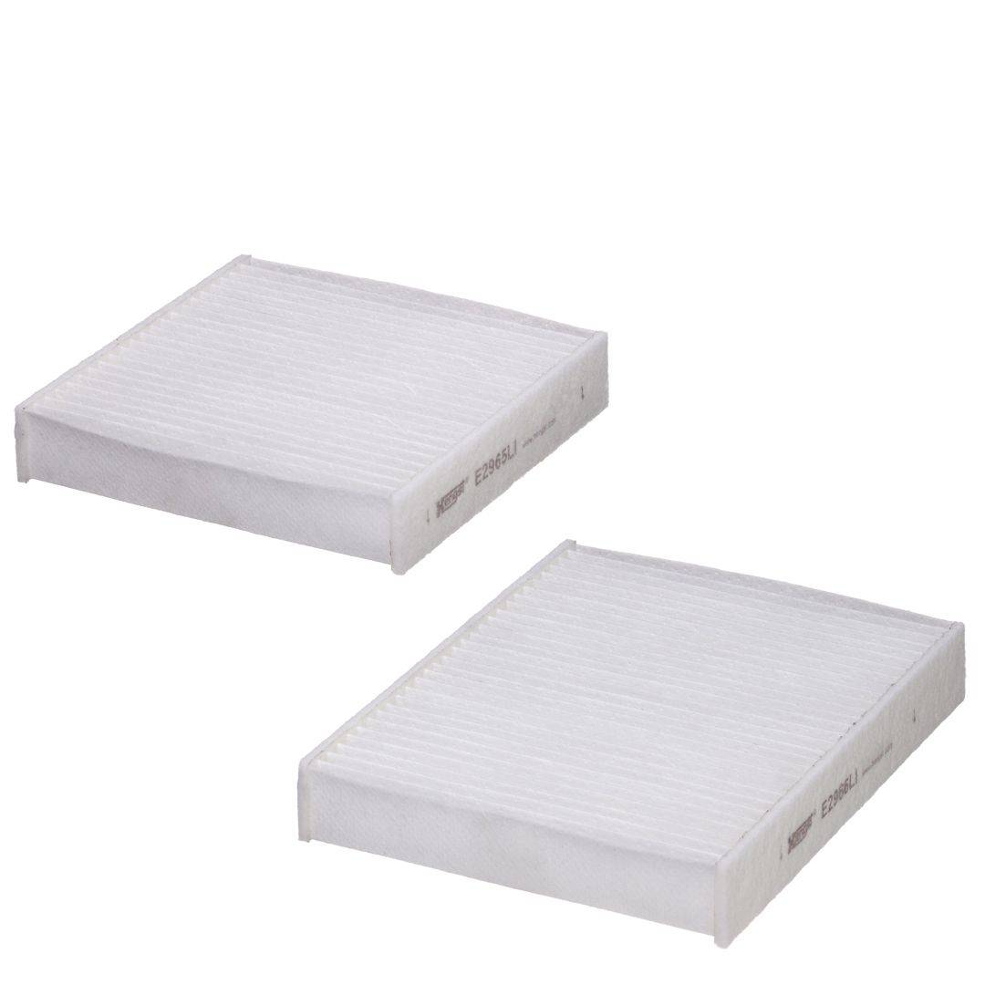 Hengst Filter E2967LI-2 Filter, Innenraumluft