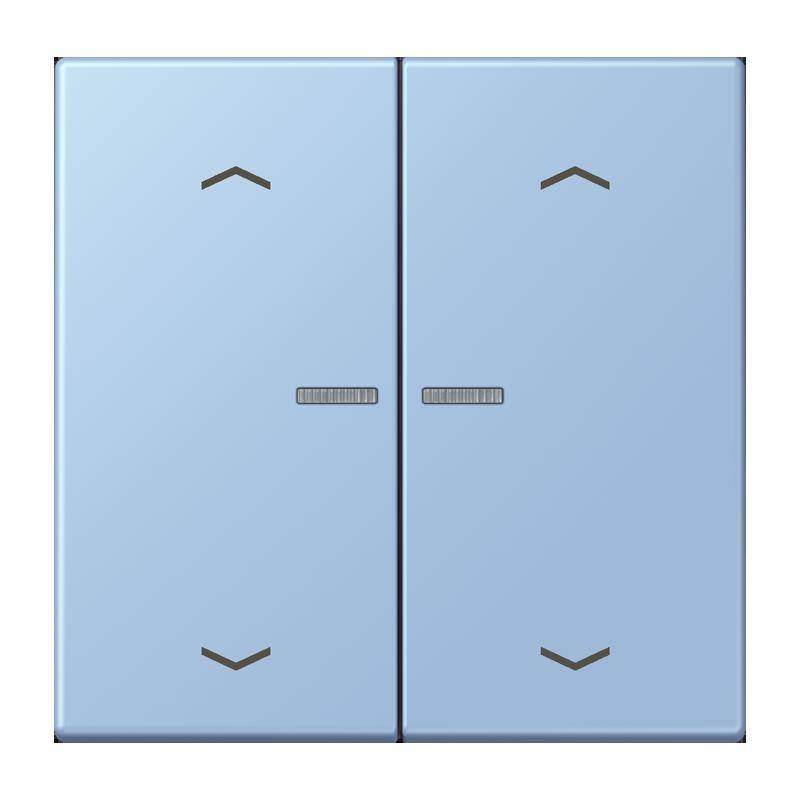 Jung Taster mit Pfeilsymbolen BT LC 17102 P 207