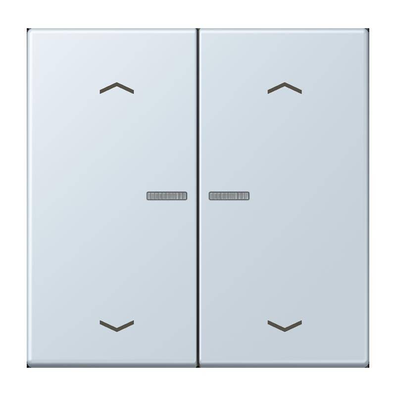 Jung Taster mit Pfeilsymbolen BT LC 17102 P 209