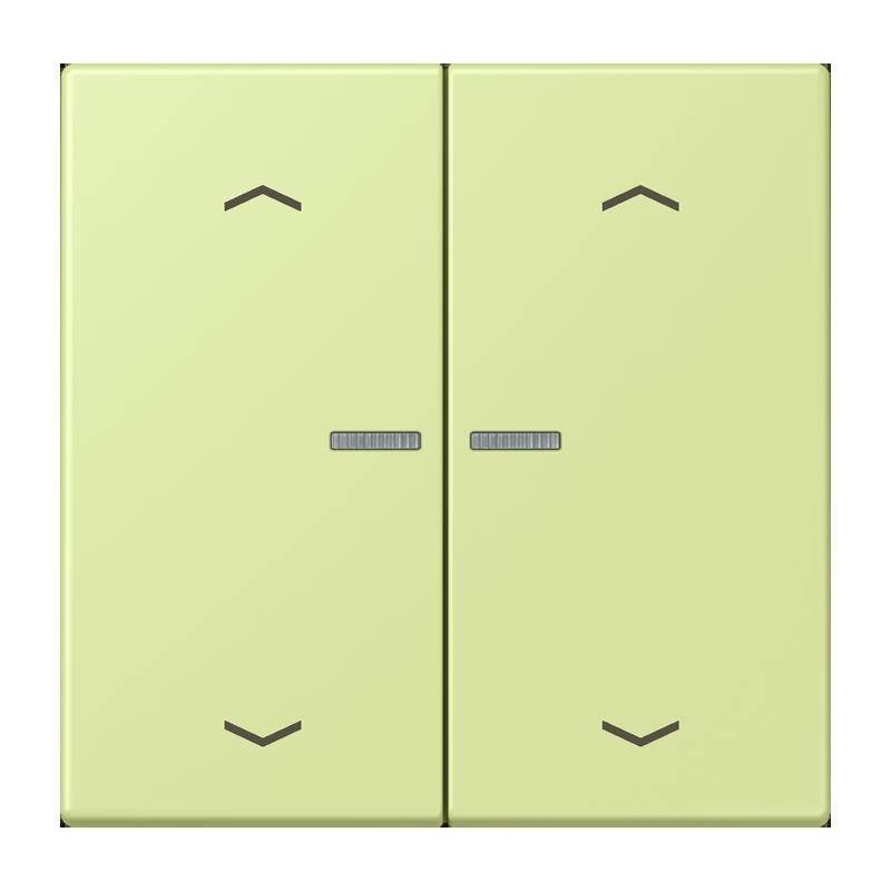 Jung Taster mit Pfeilsymbolen BT LC 17102 P 222