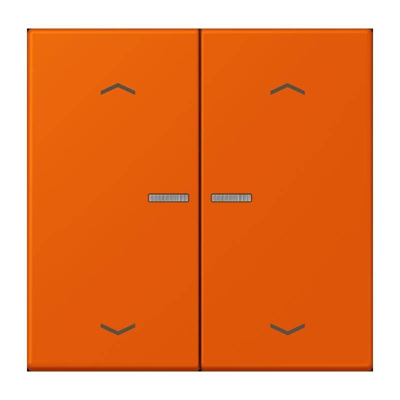 Jung Taster mit Pfeilsymbolen BT LC 17102 P 260