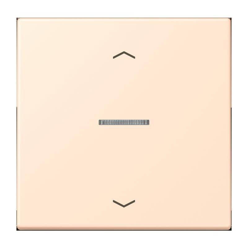 Jung Taster 1fach BT LC 17101 P 238