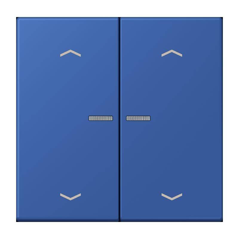 Jung Taster mit Pfeilsymbolen BT LC 17102 P 253