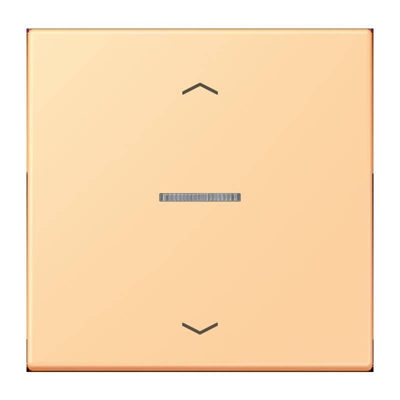 Jung Taster 1fach BT LC 17101 P 258