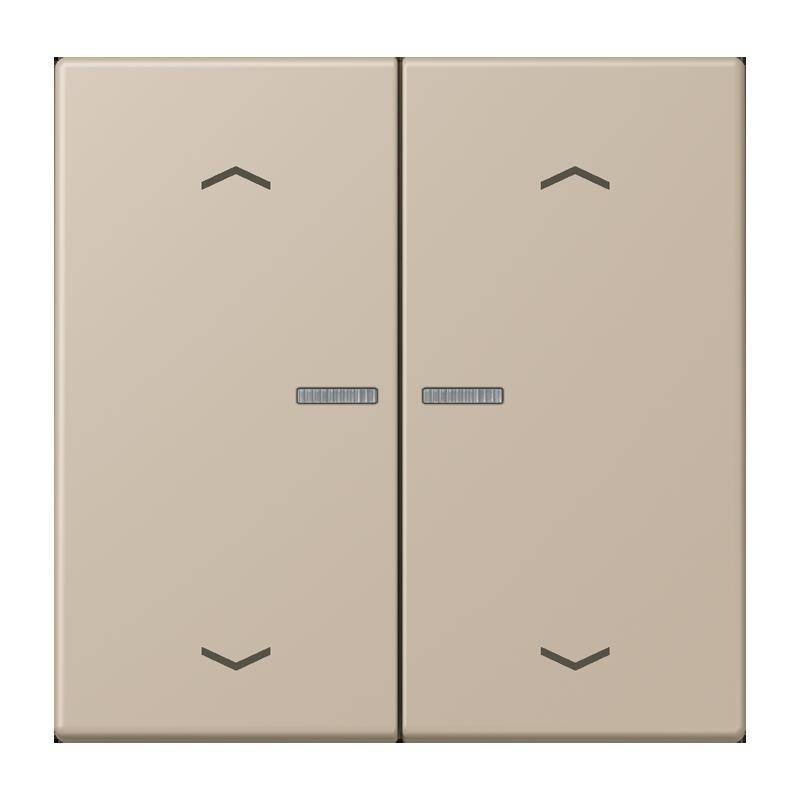 Jung Taster mit Pfeilsymbolen BT LC 17102 P 243