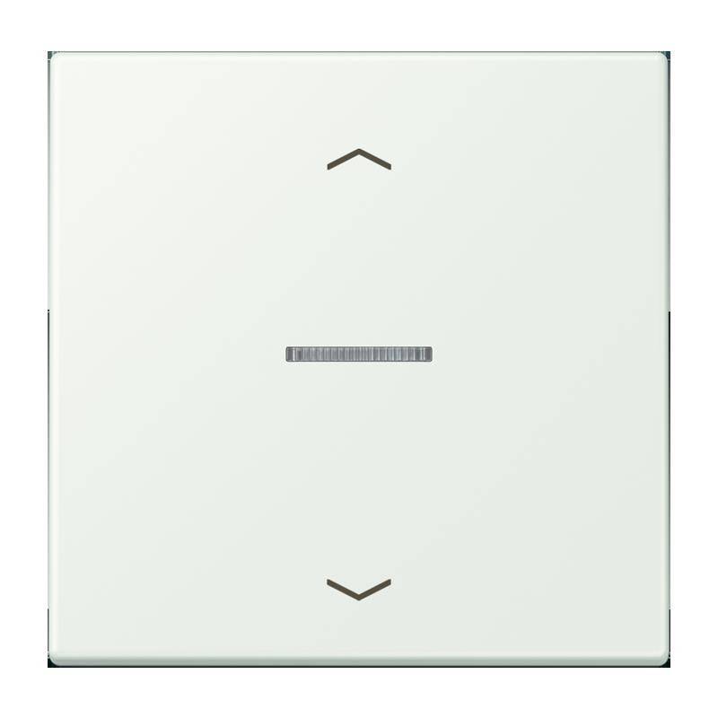 Jung Taster 1fach BT LC 17101 P 210