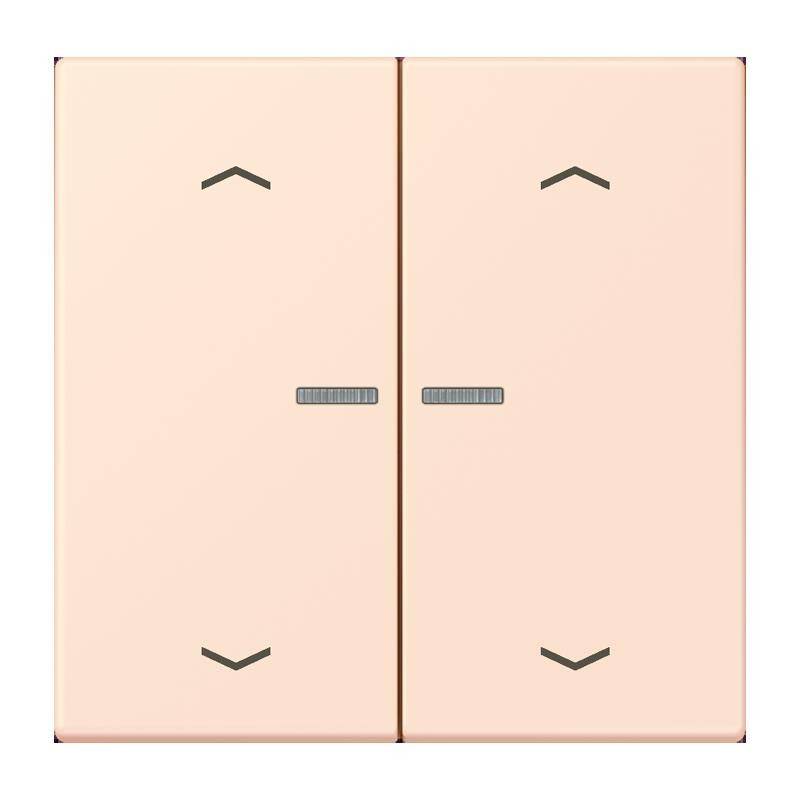 Jung Taster mit Pfeilsymbolen BT LC 17102 P 226