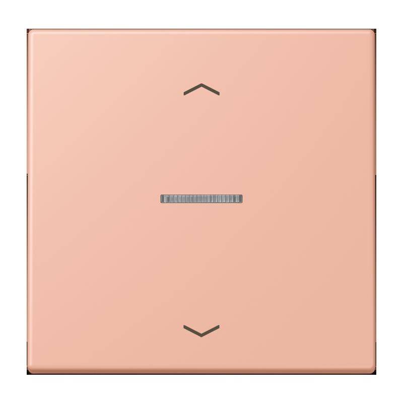 Jung Taster 1fach BT LC 17101 P 231