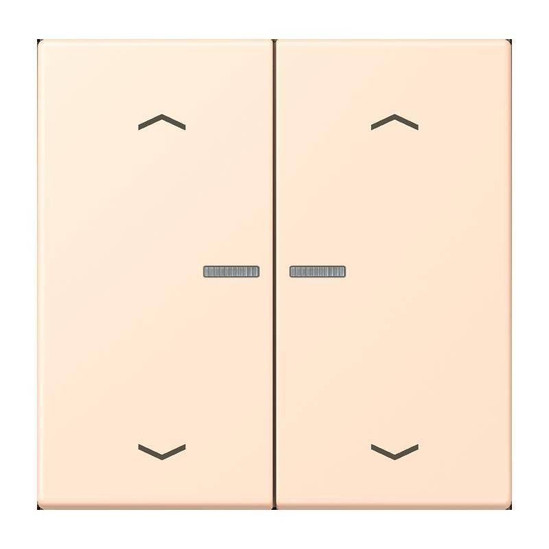 Jung Taster mit Pfeilsymbolen BT LC 17102 P 238