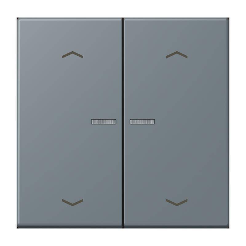 Jung Taster mit Pfeilsymbolen BT LC 17102 P 251