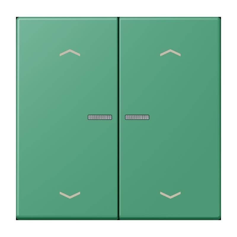 Jung Taster mit Pfeilsymbolen BT LC 17102 P 250