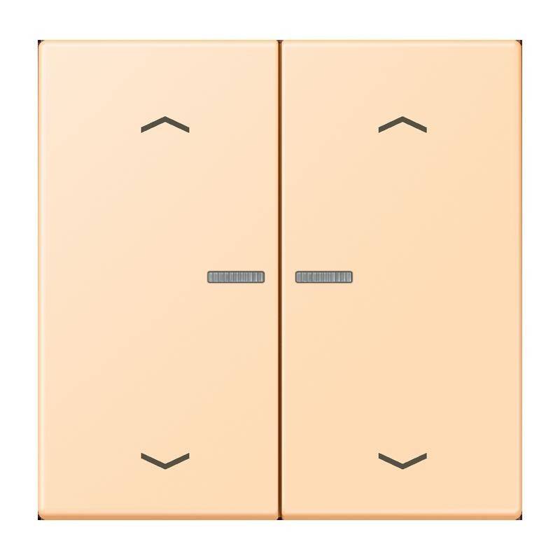 Jung Taster mit Pfeilsymbolen BT LC 17102 P 223