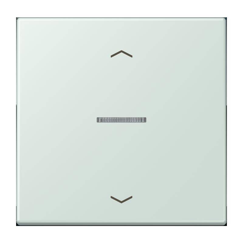 Jung Taster 1fach BT LC 17101 P 215